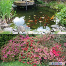 Details Zweifamilienhaus in Traumlage Dortmund-H�chsten (Sommerberg)