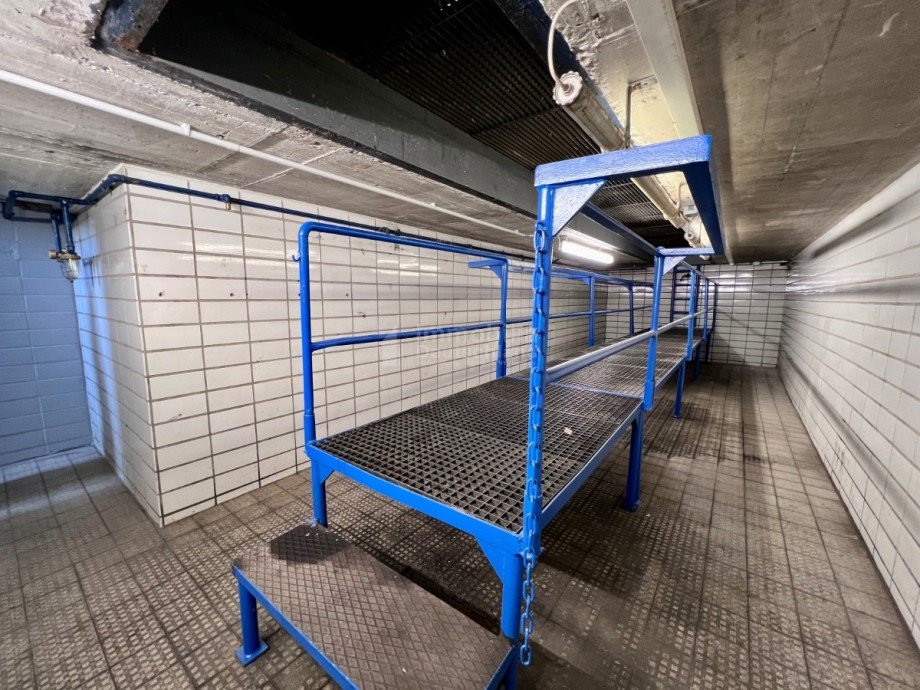 Bild... Halle L�nen